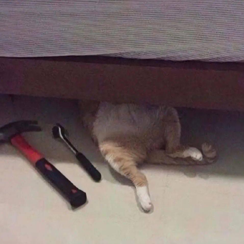 天