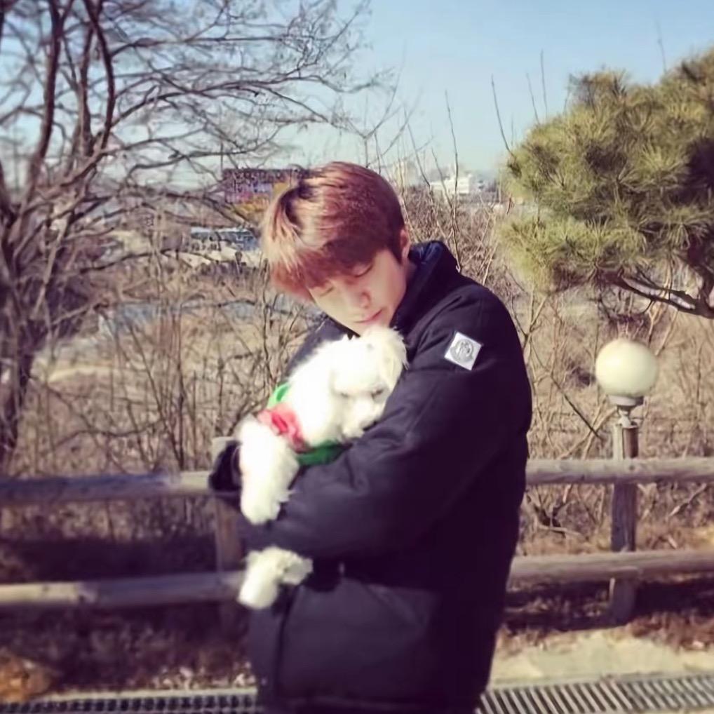 小勋的喵喵喵～