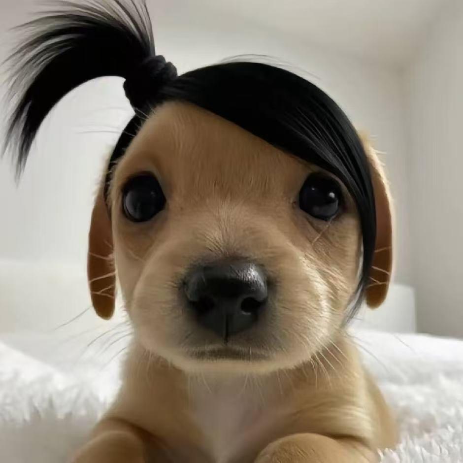 苏柚