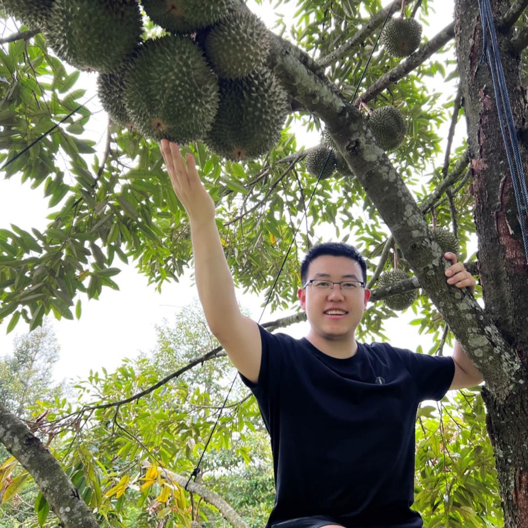 砍王榴莲
