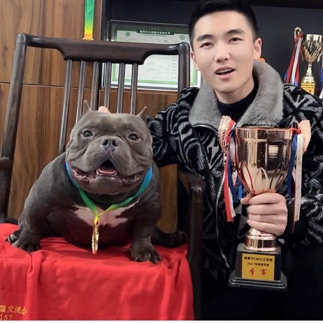 超霸犬舍（恶霸犬CBKC认证）
