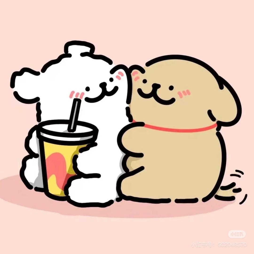 小鸡毛的小小白