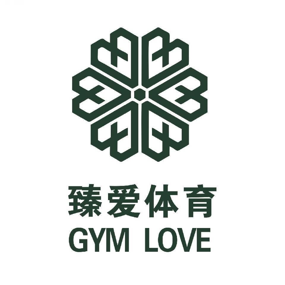 臻爱青训