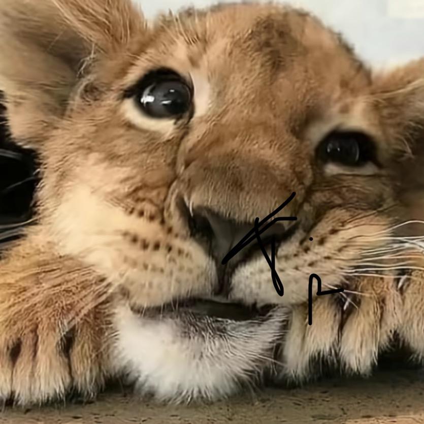 Lllllll