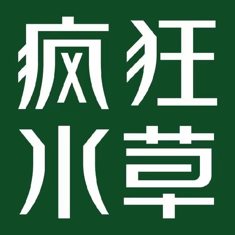 疯狂水草crazy aquatic plants水族旗舰店