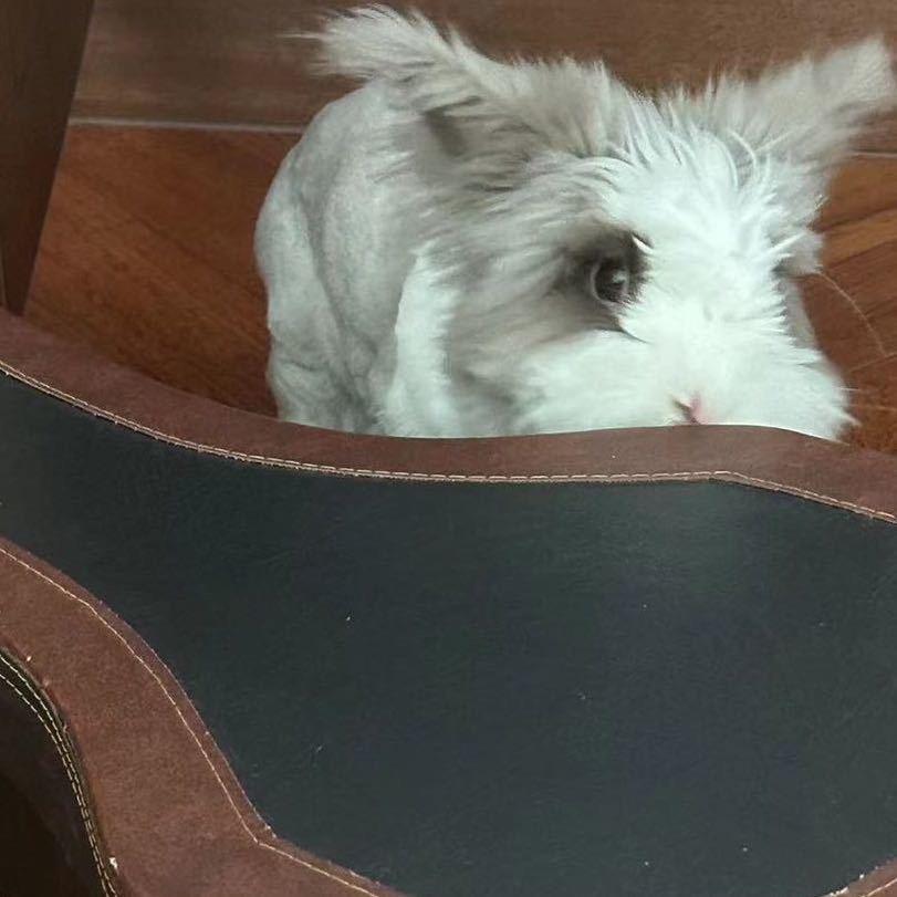 吃火锅的冰淇淋