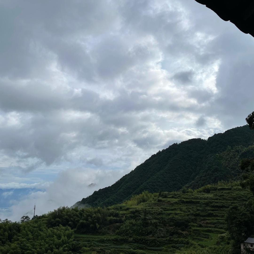 今生今世