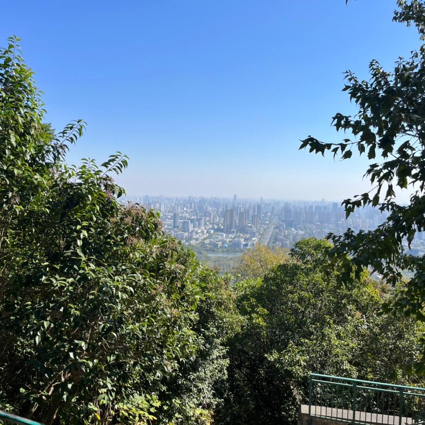 风铃草81头像