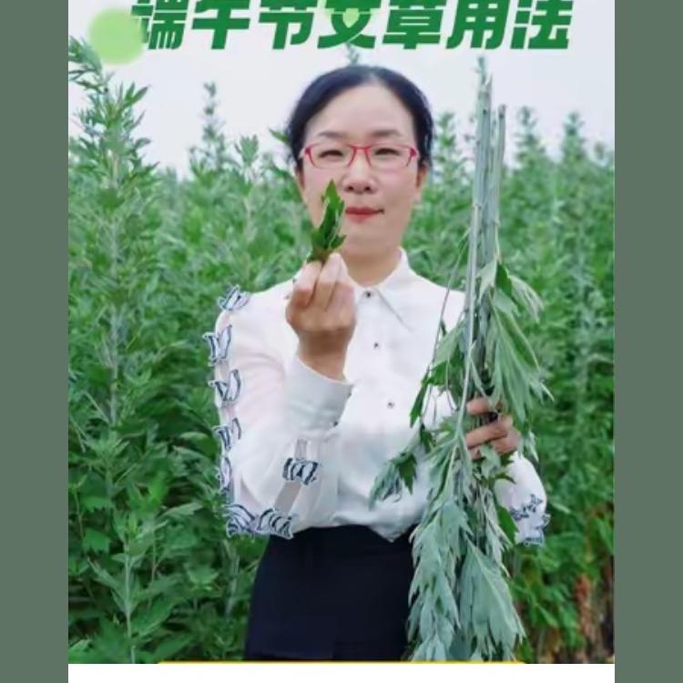 春帆艾草香
