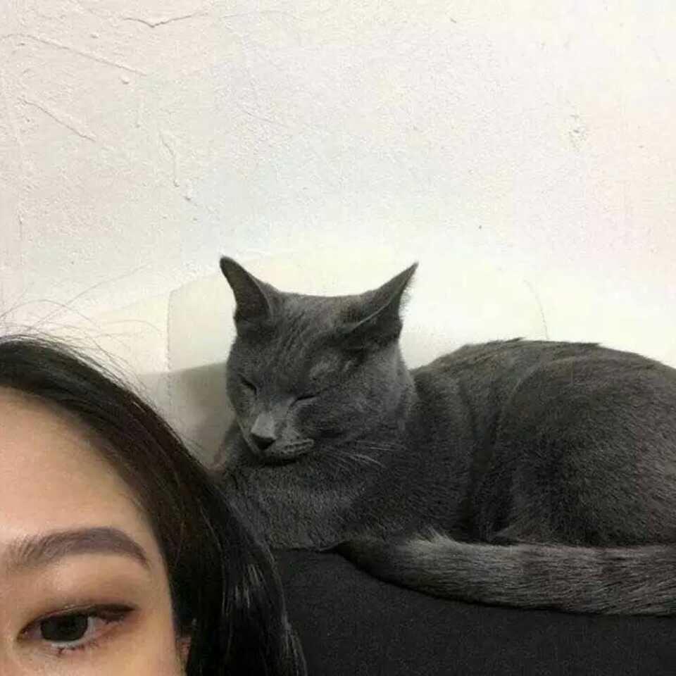 瑶瑶今天也很开心_