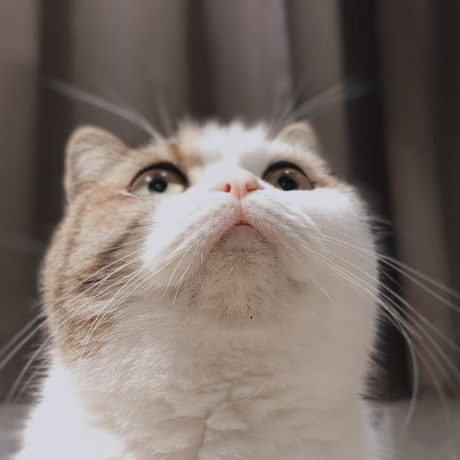 我就吃怎么啦