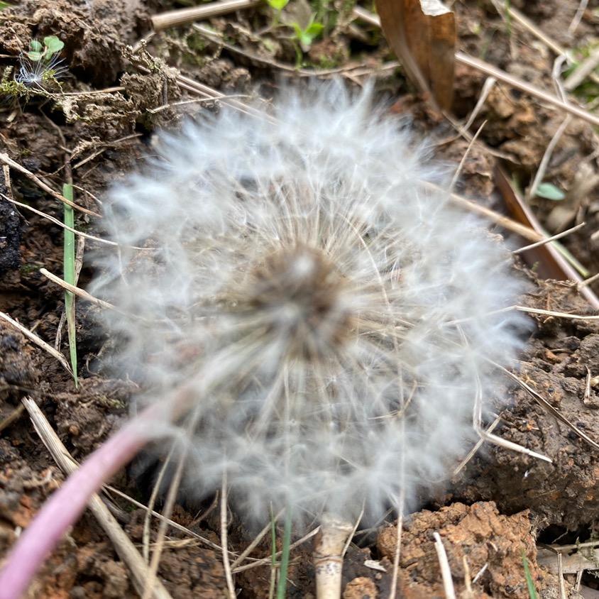 壹小筑的日常