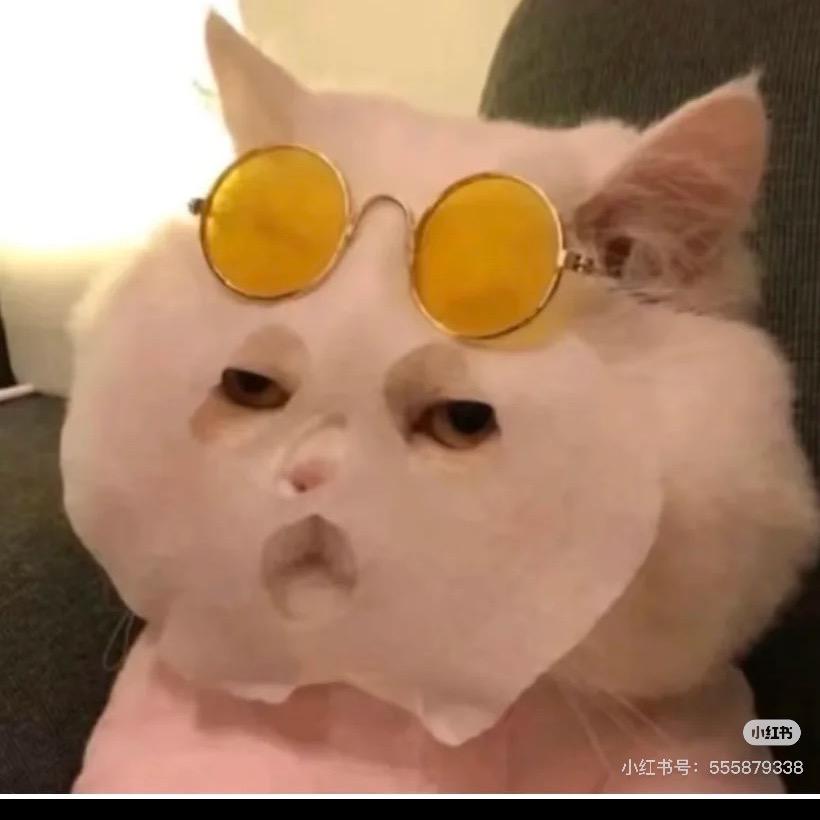 屡教不改🌺💅🏻🍻🥀🥀