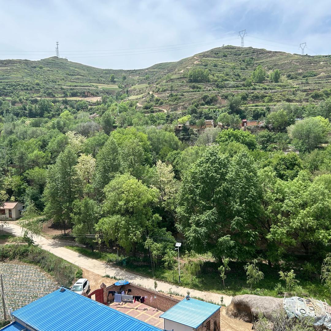 90后的乡村生活