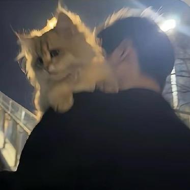 是个特.