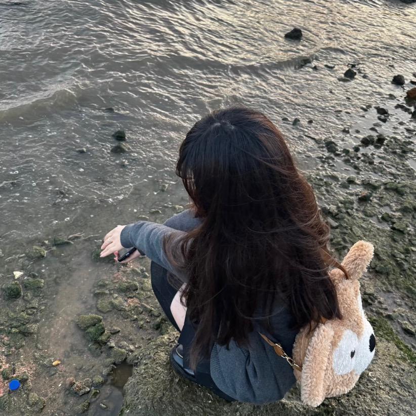 甲鱼不是鱼🐢