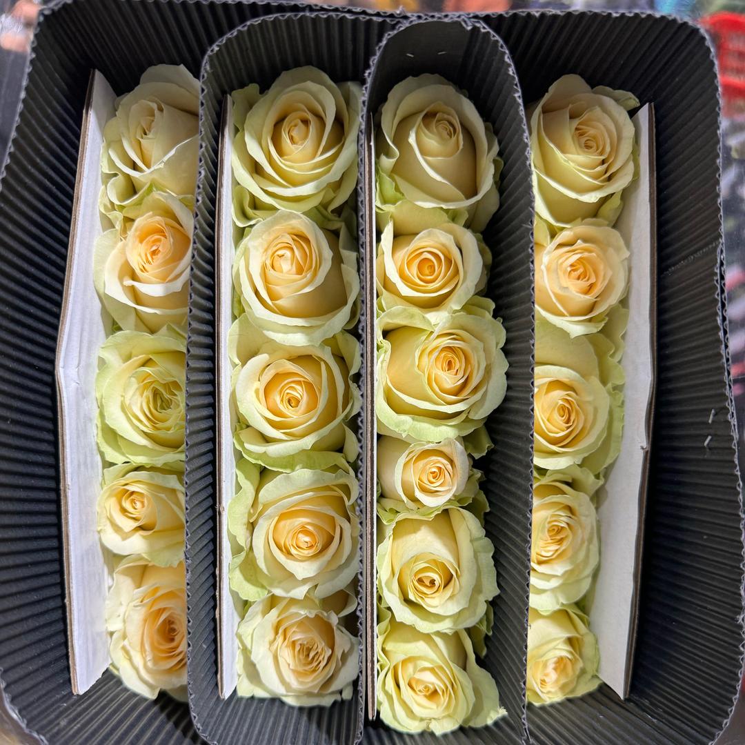 花瓣雨鲜花批发（小张）