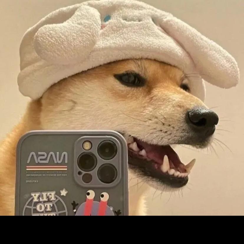 浩记哥哥