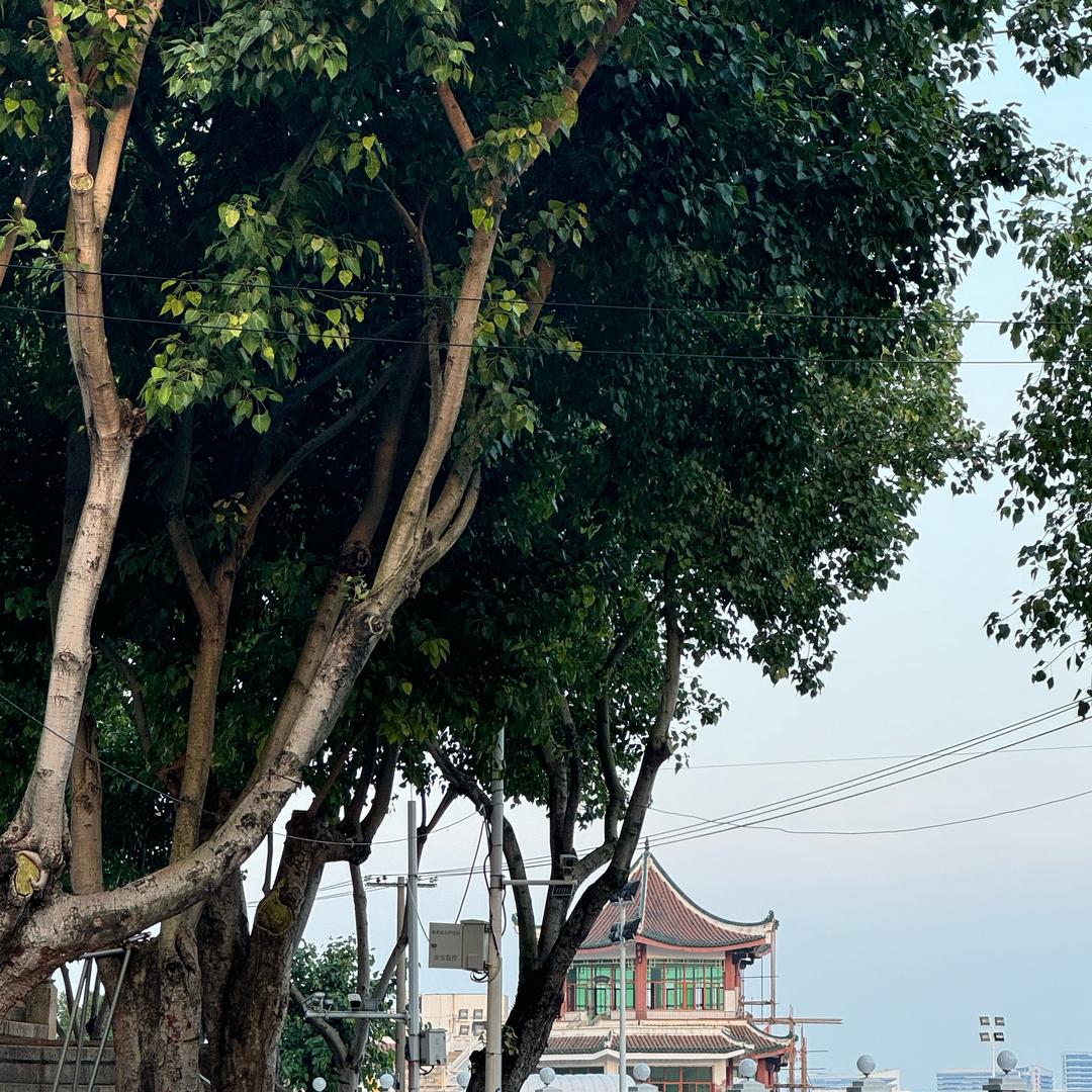 明天