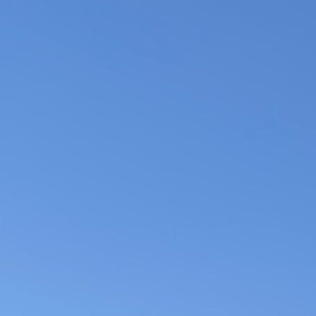 @该用户涉嫌违规