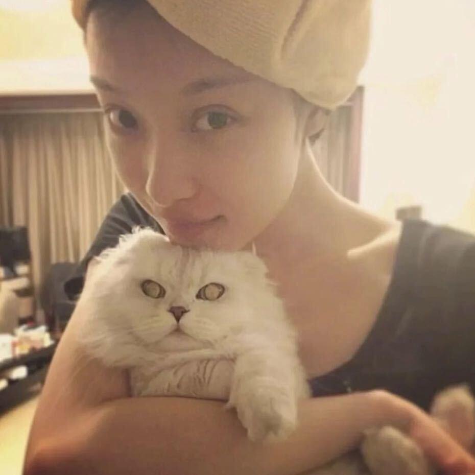 小叫.