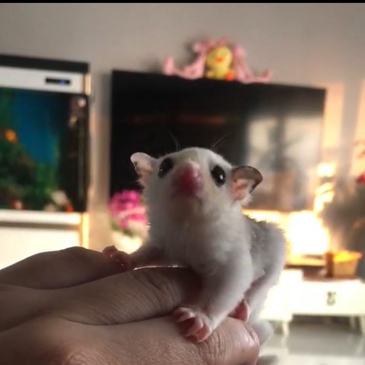 💕Lov꧔ꦿ᭄💞