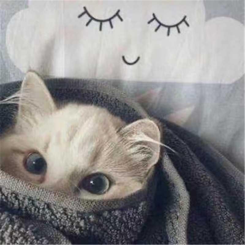 九月茉莉休闲零食店