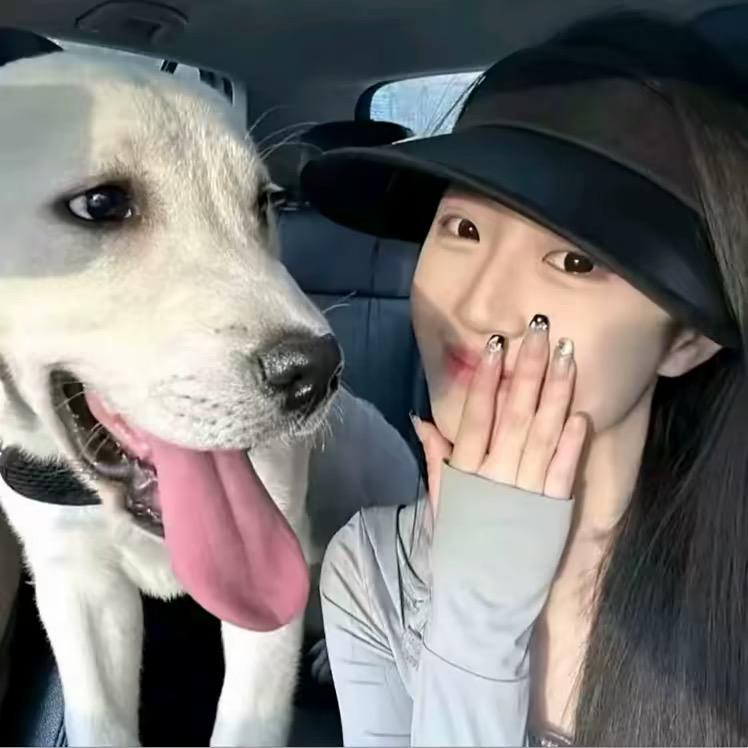 总被男人骗.