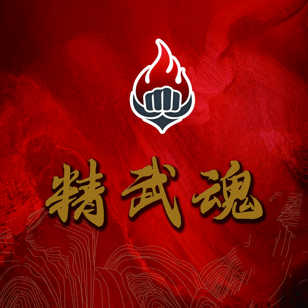 精武魂官方
