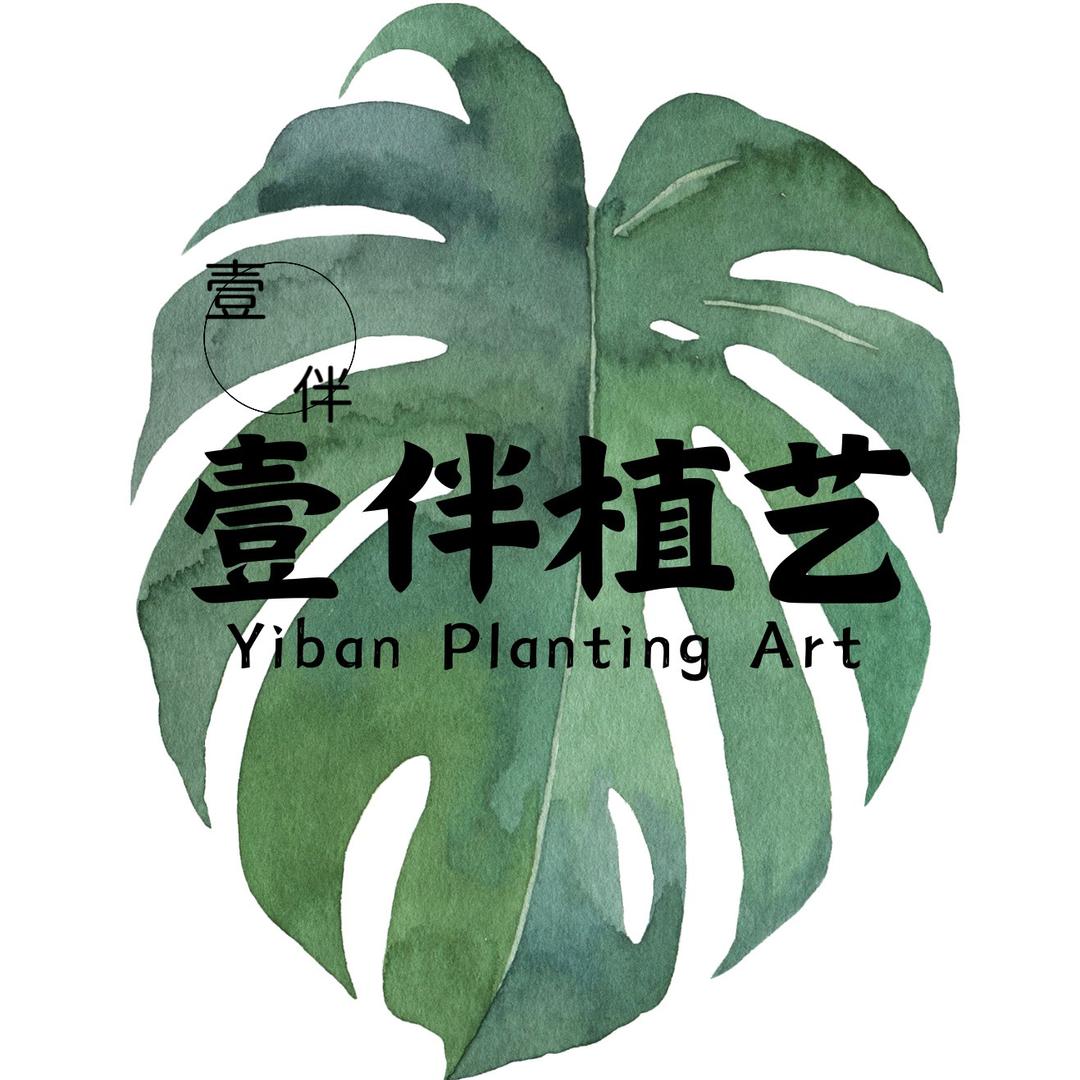 壹伴植艺