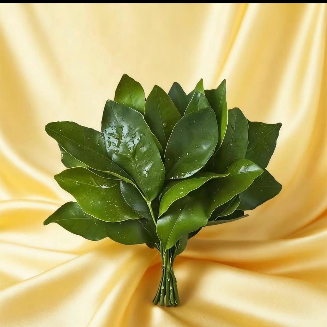 英山阿尔卑斯系统门窗🍓