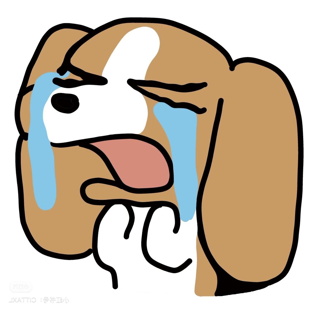 小齐