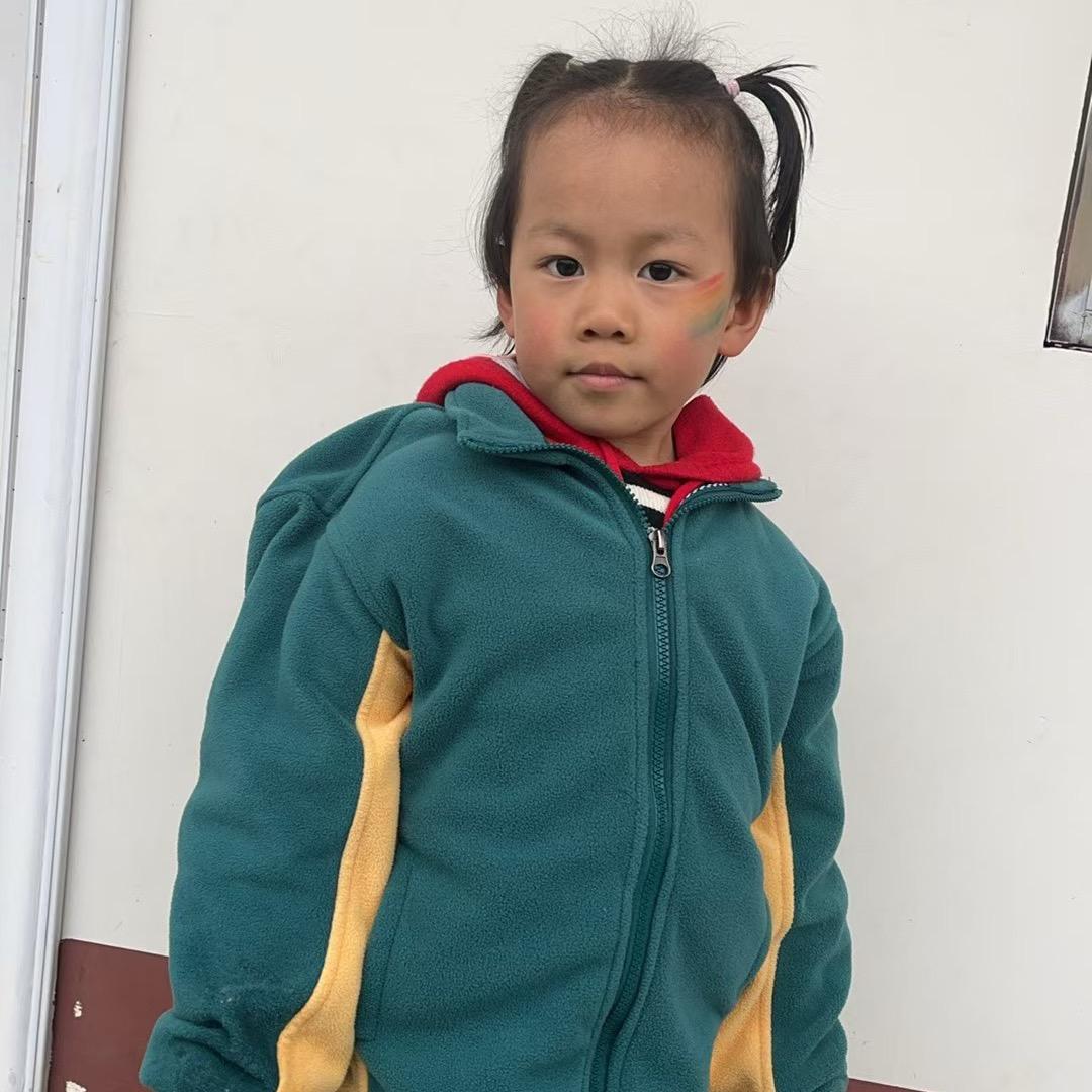 五品带砖侍卫