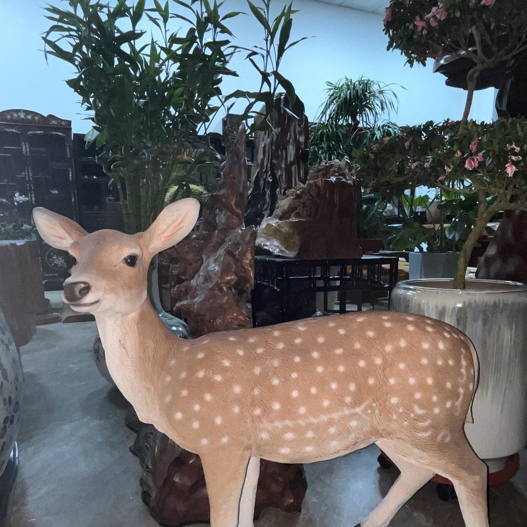 迪丽冷巴中古严选