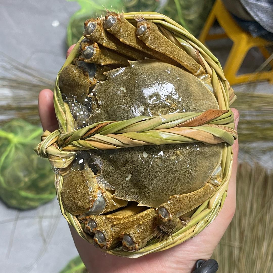 大闸蟹批发零售