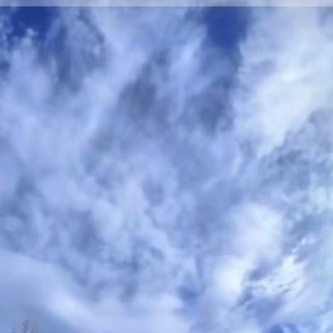 江阴镇诚   黄先生