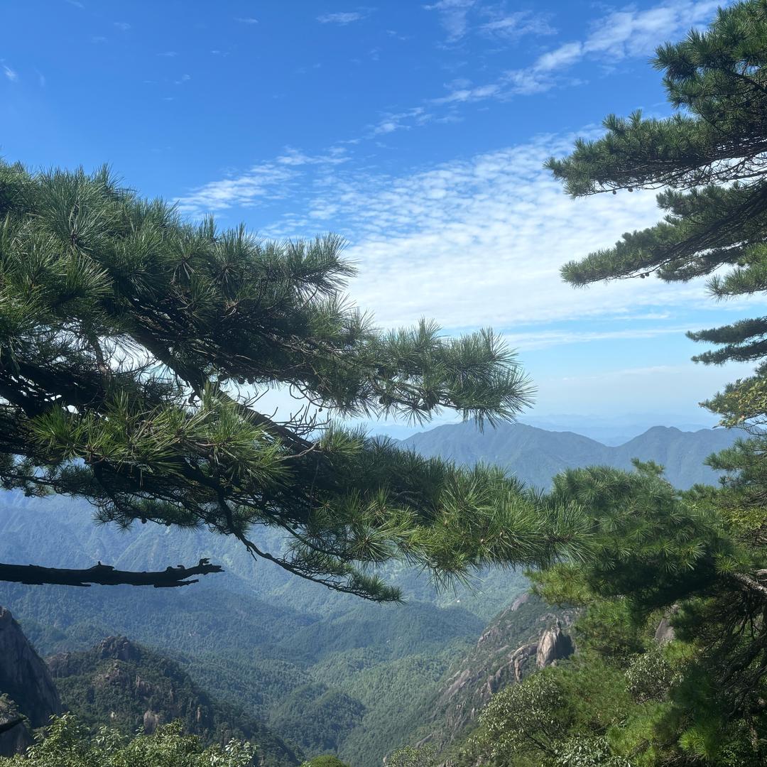 是小赵呀