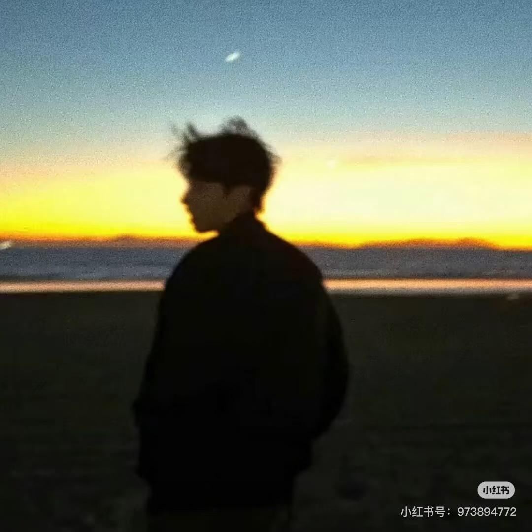 楠木.