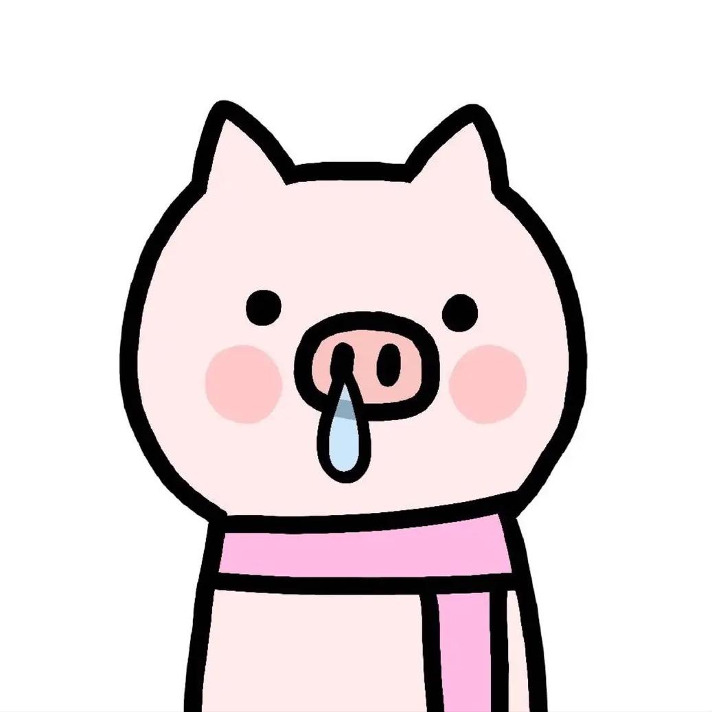 脆皮猪（带货版）