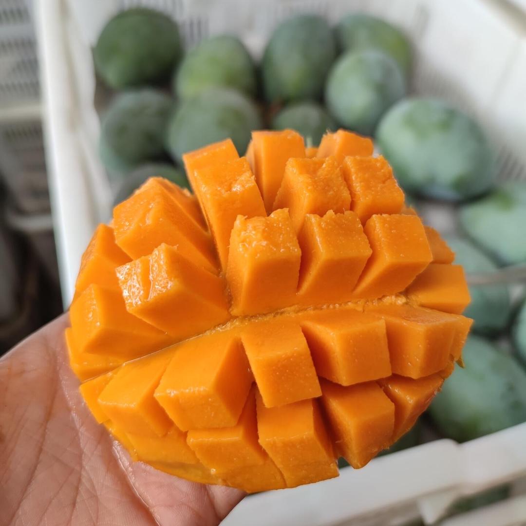 杰讯鲜果生鲜店