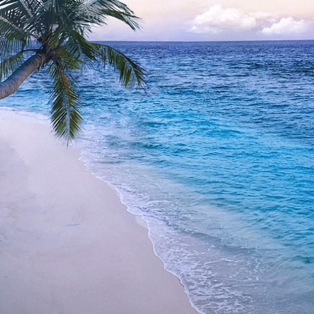 喜欢大海❄️❄️