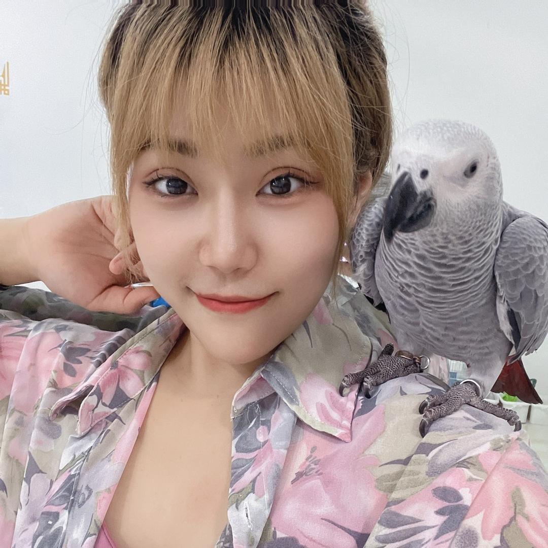 手养鹦鹉瑶瑶