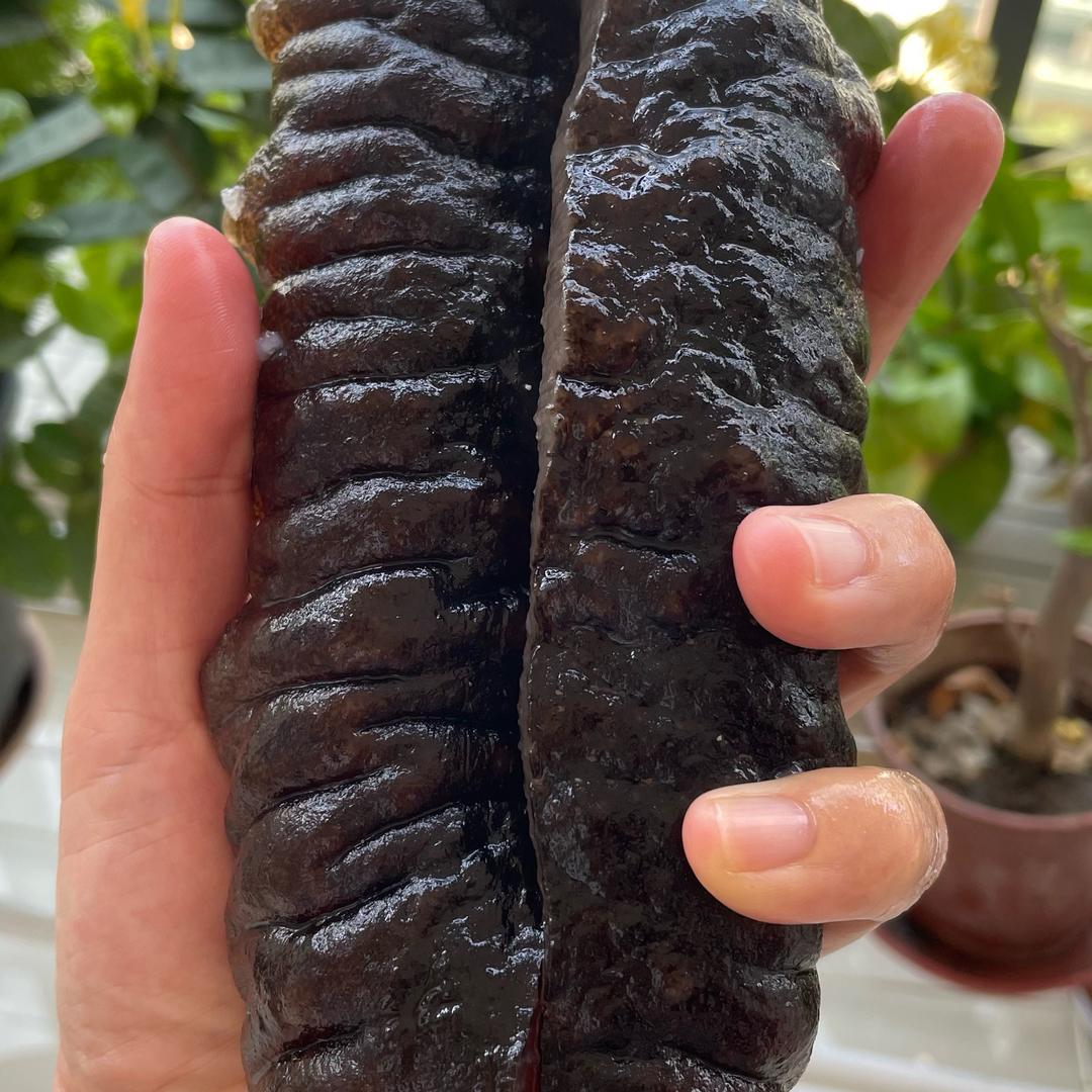 大米优选海参批发