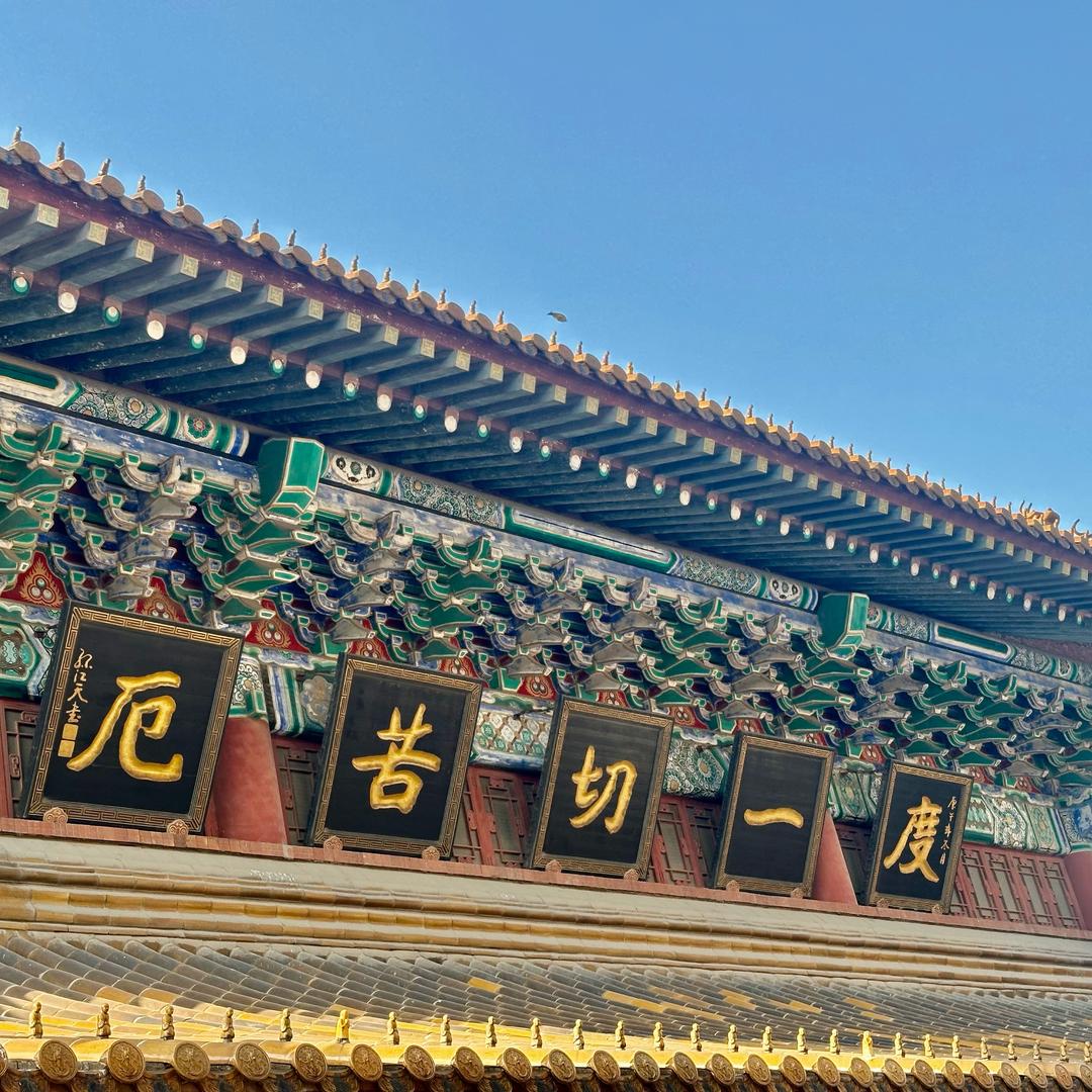 叫兽🫡