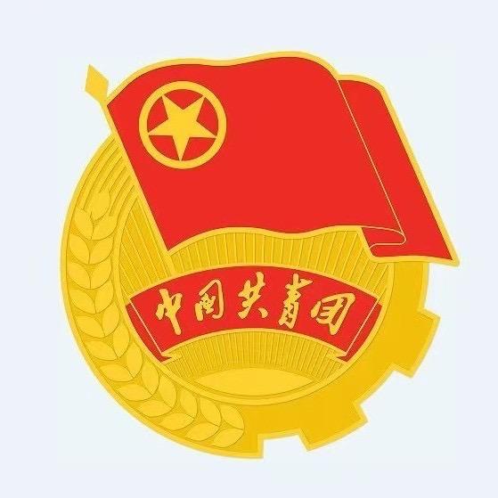 杭锦后旗共青团