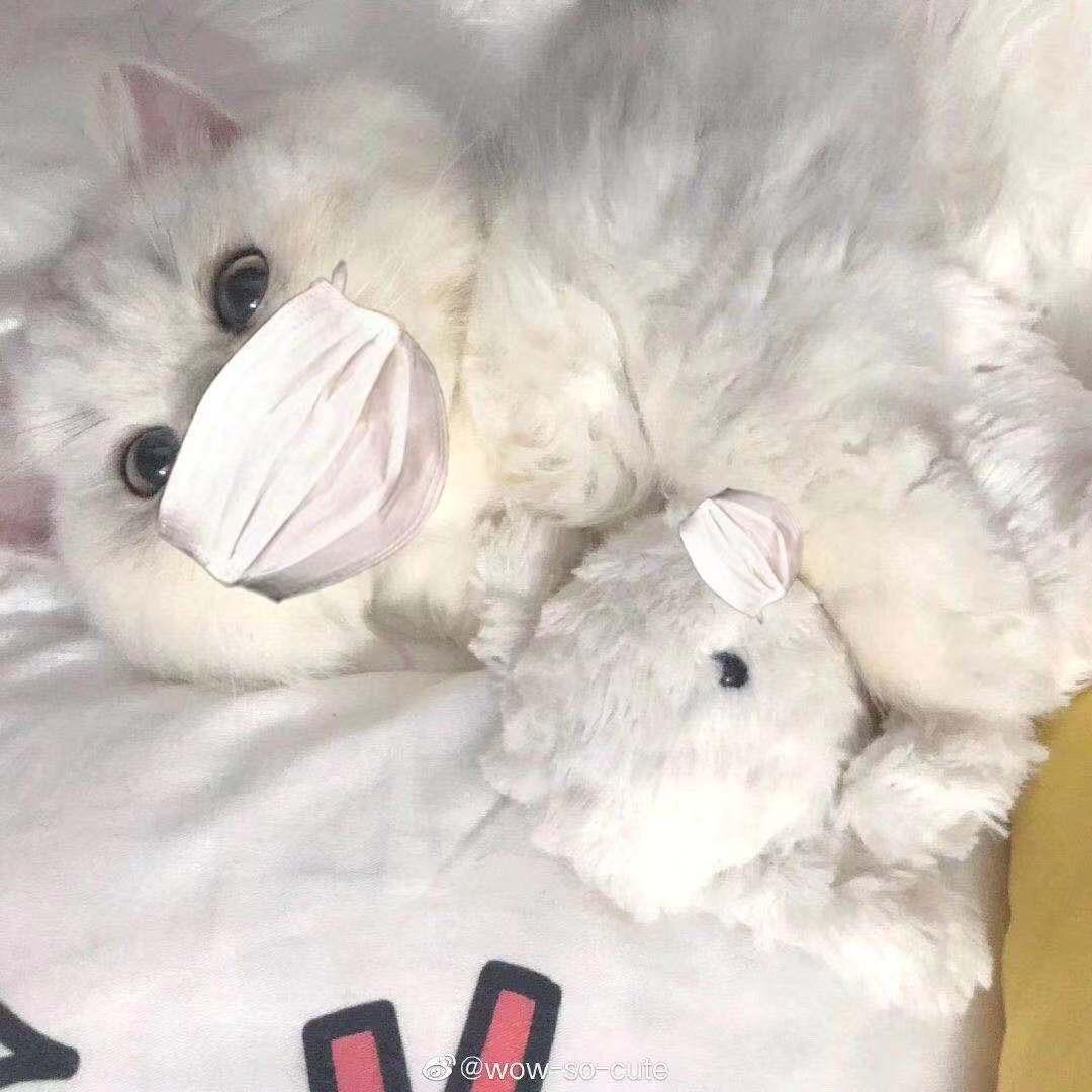 ............