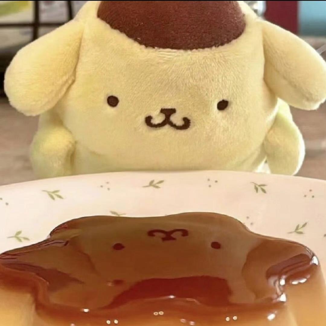 红烧小布丁🍮