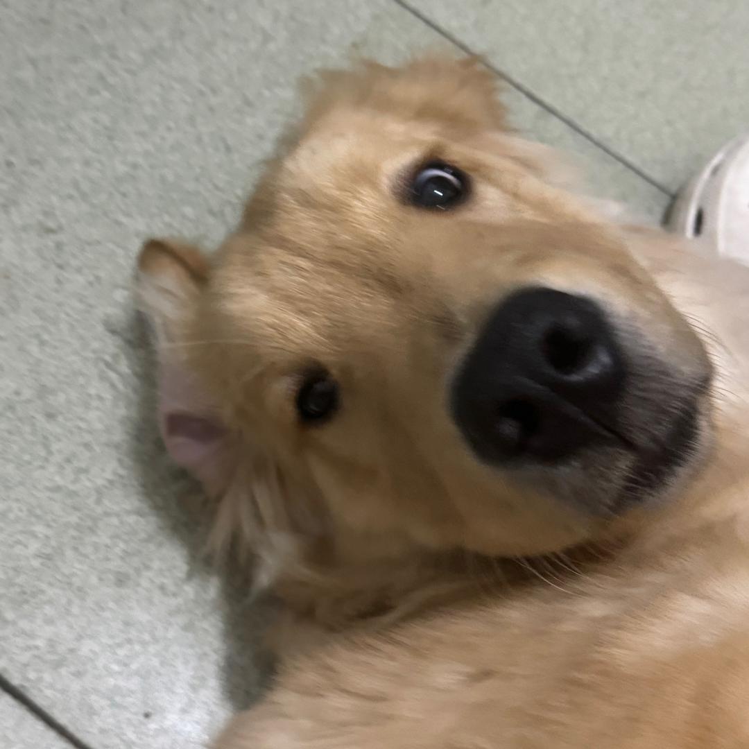 烦事索索