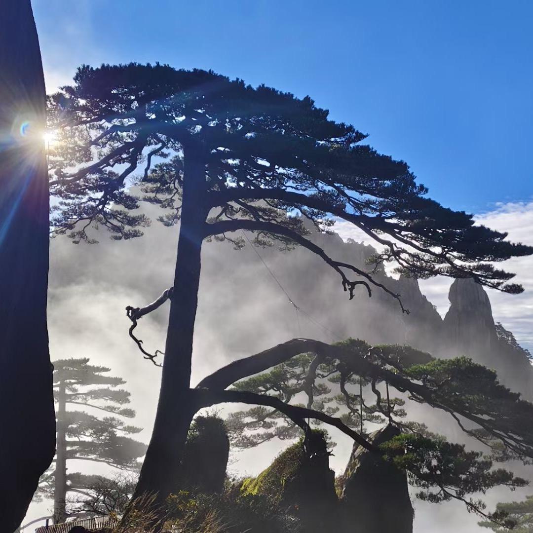 黄山旅游杨益