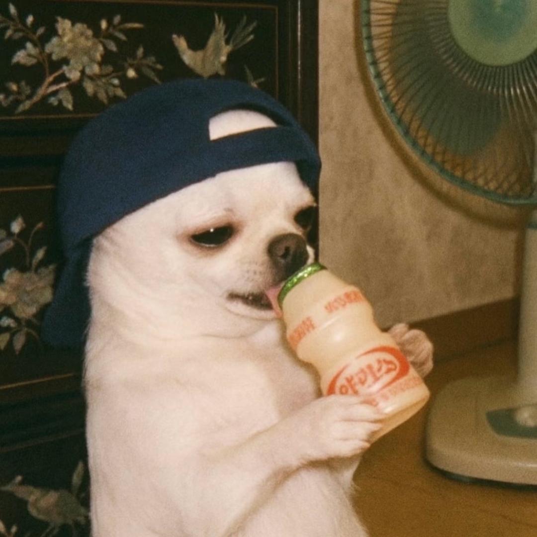 可不可以不要偷看我